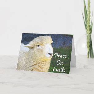 Sheep Christmas Quote Holiday Card