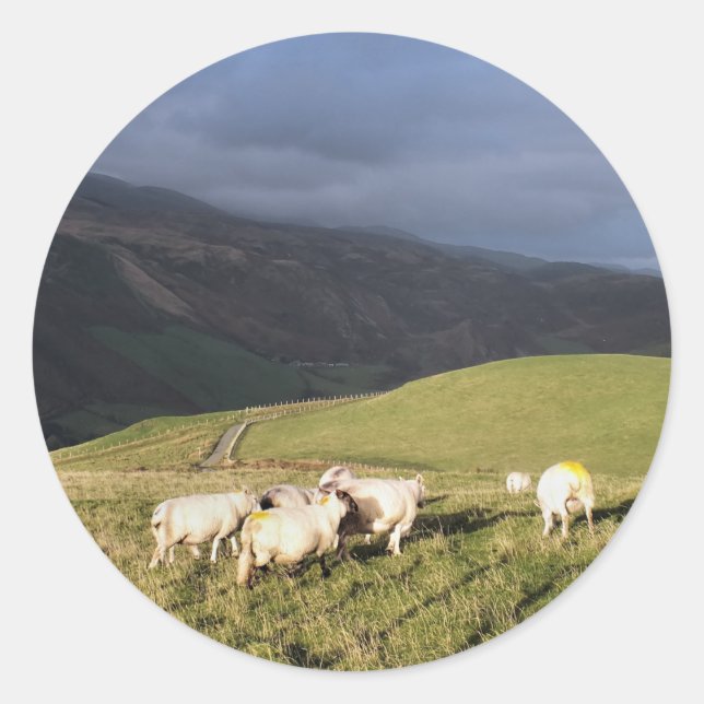 SHEEP CLASSIC ROUND STICKER (Front)