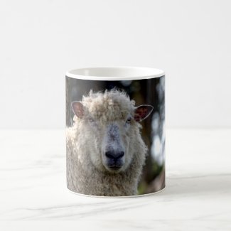 Sheep Coffee Mug