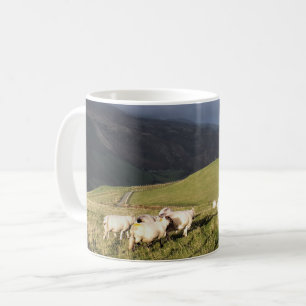SHEEP COFFEE MUG