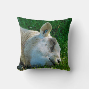 SHEEP CUSHION