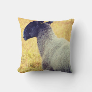 Sheep Cushion