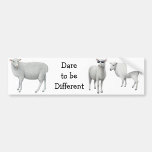 Sheep Dare to be Different Bumper Sticker