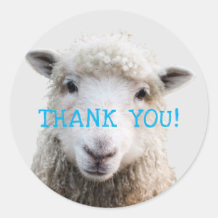 Sheep Face Knitting Business Thank-you Classic Round Sticker