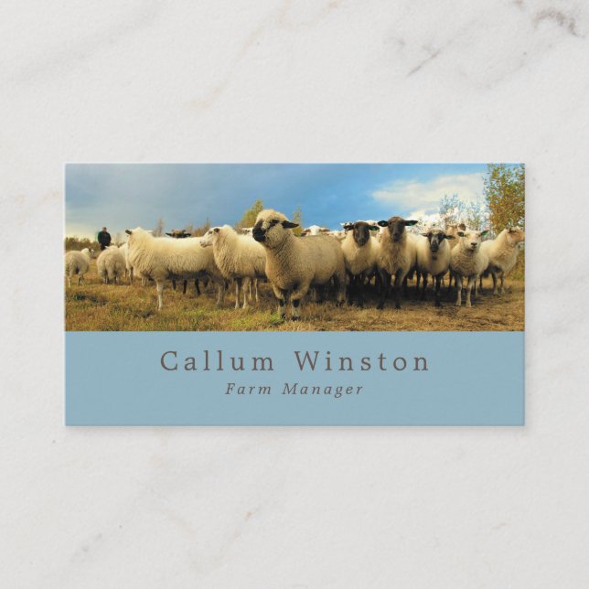 Sheep Farm, Farmer & Butcher Business Card (Front)