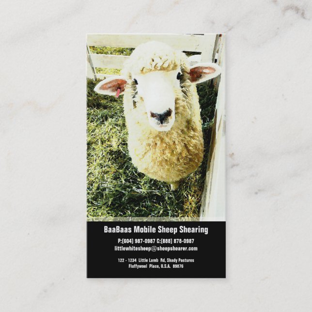 Sheep Farm or Shear Service Business Card (Front)