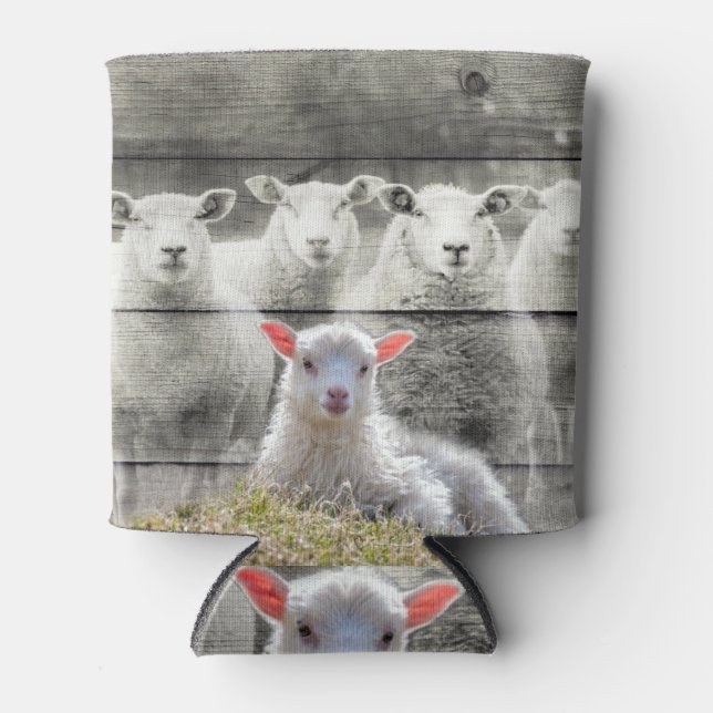 Sheep Flock Baby Lamb Can Cooler (Front)