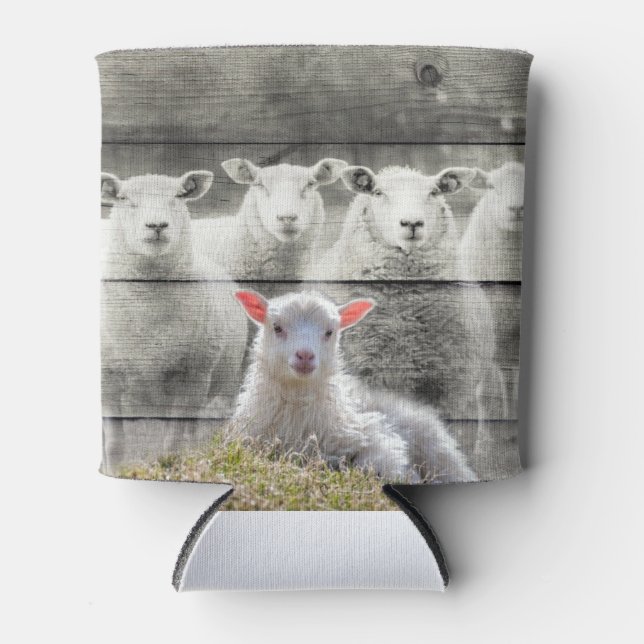 Sheep Flock Baby Lamb Can Cooler (Front)