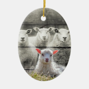 Sheep Flock Baby Lamb Ceramic Tree Decoration