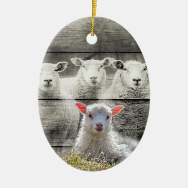 Sheep Flock Baby Lamb Ceramic Tree Decoration (Front)