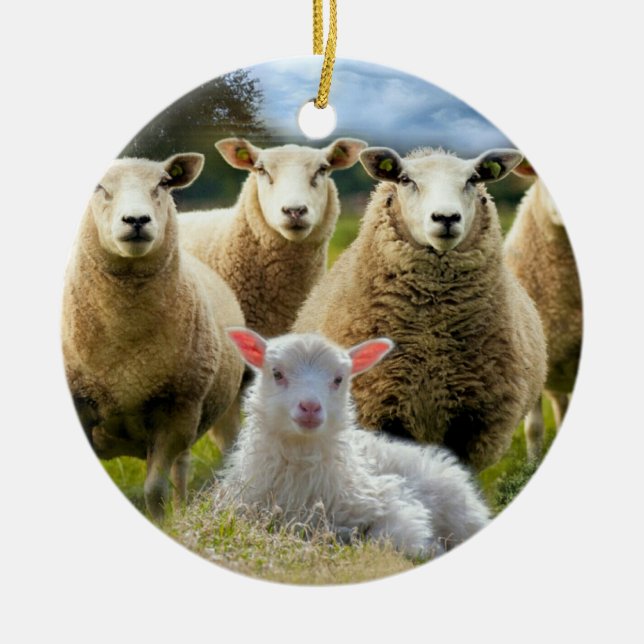 Sheep Flock Baby Lamb Ceramic Tree Decoration (Front)