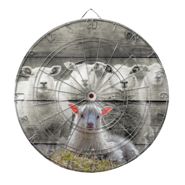 Sheep Flock Baby Lamb Dartboard (Front)