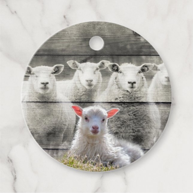 Sheep Flock Baby Lamb Favour Tags (Front)