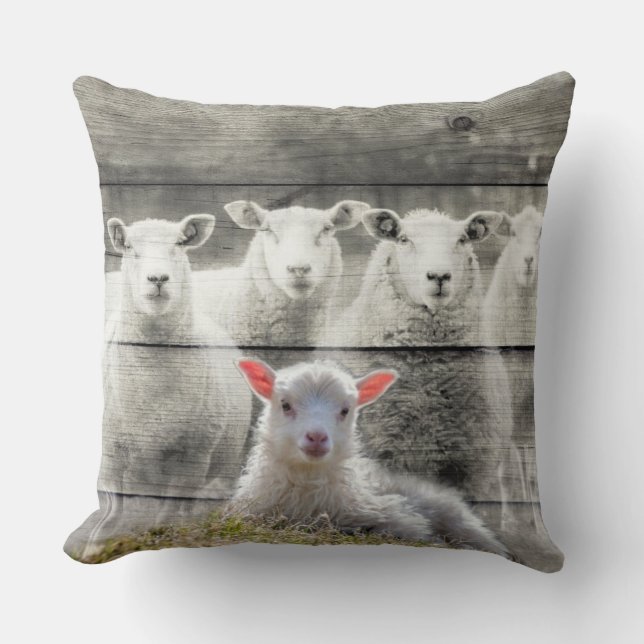Sheep Flock Baby Lamb Lumbar Pillow (Front)