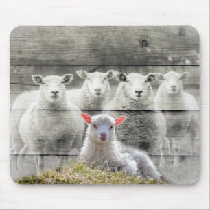 Sheep Flock Baby Lamb Mouse Mat