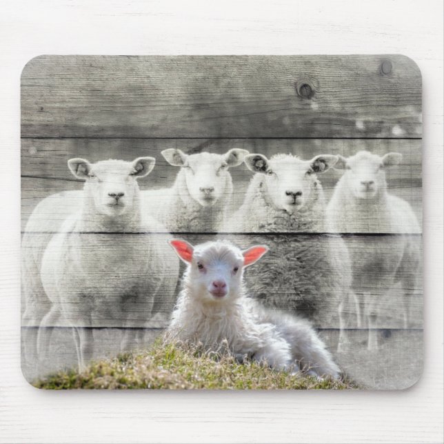 Sheep Flock Baby Lamb Mouse Mat (Front)