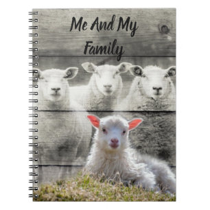 Sheep Flock Baby Lamb Notebook