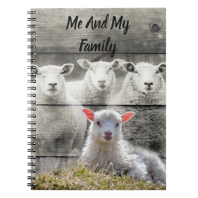 Sheep Flock Baby Lamb Notebook (Front)