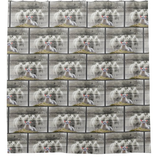 Sheep Flock Baby Lamb Shower Curtain (Front)