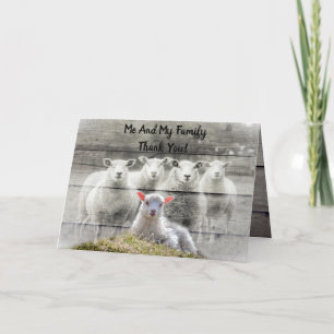 Sheep Flock Baby Lamb Thank You Card