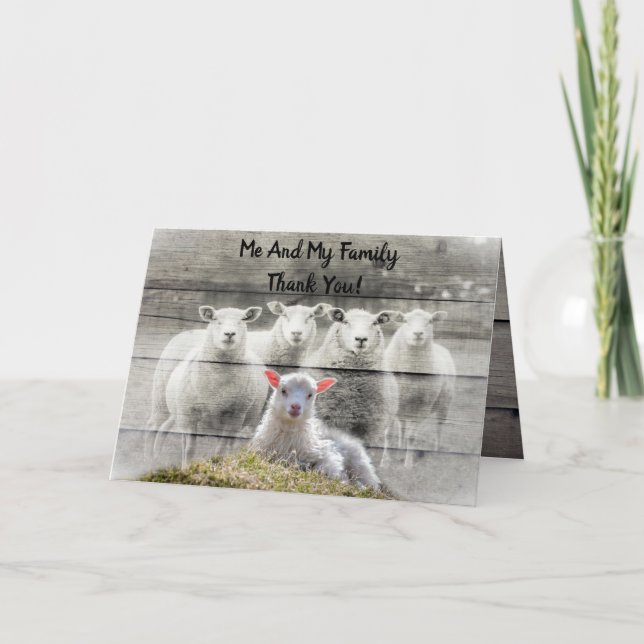 Sheep Flock Baby Lamb Thank You Card (Front)