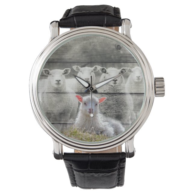 Sheep Flock Baby Lamb Watch (Front)