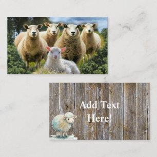 Sheep Flock Sheep Herd Baby Lamb Business Card
