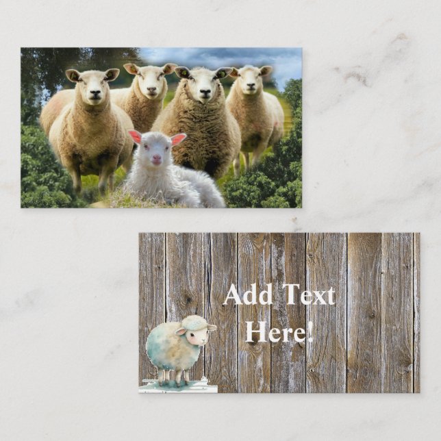Sheep Flock Sheep Herd Baby Lamb Business Card (Front/Back)