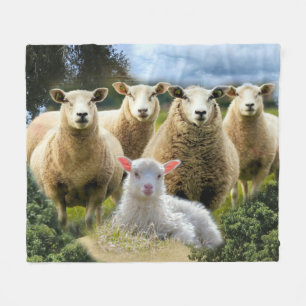 Sheep Flock Sheep Herd Baby Lamb Fleece Blanket