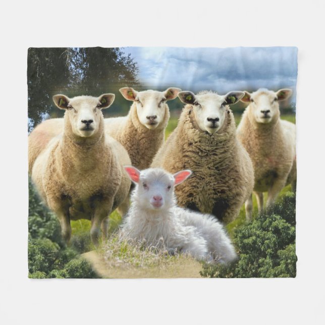 Sheep Flock Sheep Herd Baby Lamb Fleece Blanket (Front (Horizontal))
