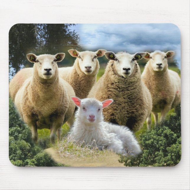 Sheep Flock Sheep Herd Baby Lamb Mouse Mat (Front)