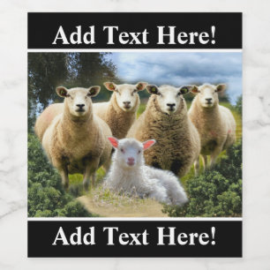 Sheep Flock Sheep Herd Baby Lamb Wine Label