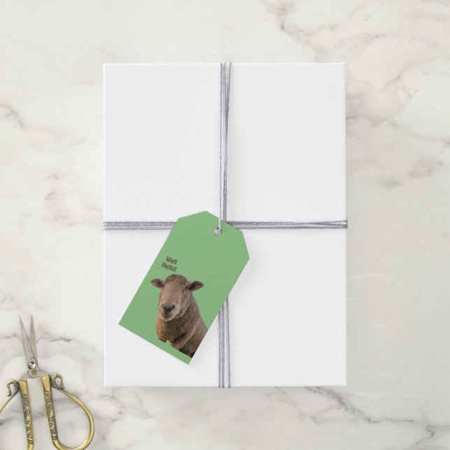 Sheep Gift Tags (With Twine)