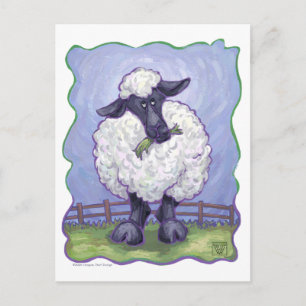 Sheep Gifts & Accessories Postcard
