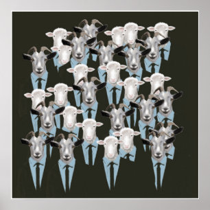 Sheep & Goats Poster