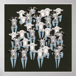 Sheep & Goats Poster