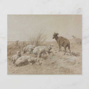 Sheep Graphite Artwork Scrapbook Paper