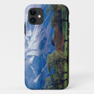 Sheep grazing below the snow-capped Harris iPhone 11 Case