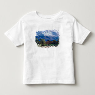 Sheep grazing below the snow-capped Harris Toddler T-Shirt