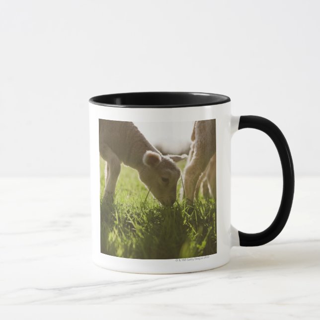 Sheep Grazing in Grass Mug (Right)