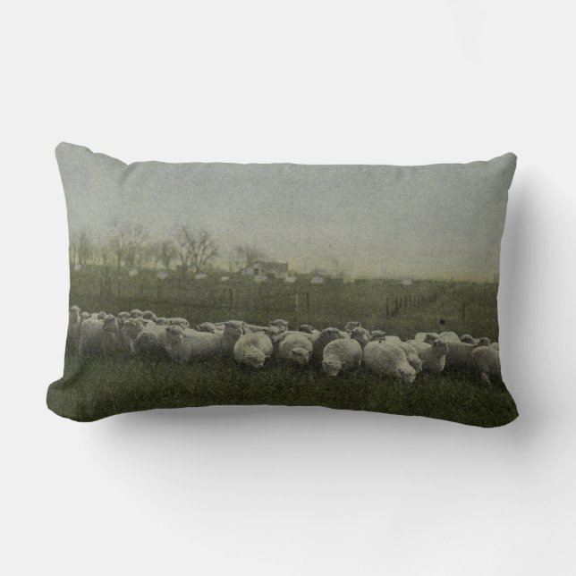 sheep grazing photo 1918 lumbar cushion (Front)