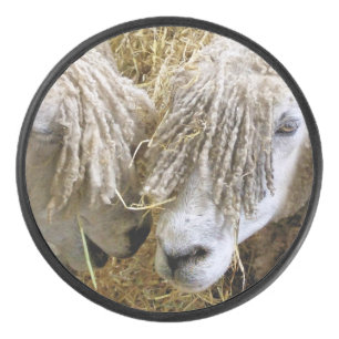 SHEEP HOCKEY PUCK