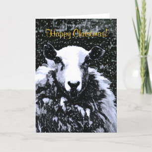 SHEEP HOLIDAY CARD