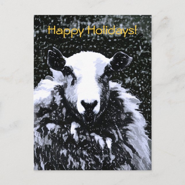 SHEEP HOLIDAY POSTCARD (Front)