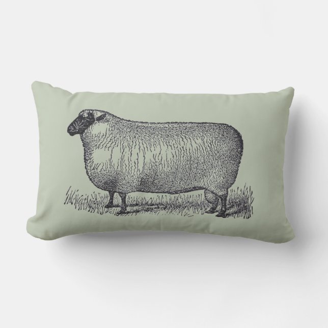 Sheep Illustration Farmhouse Style Home Decor Lumbar Cushion (Front)