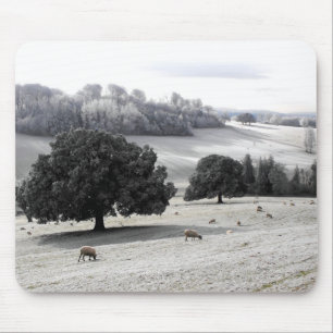 Sheep in a frosty field mouse mat