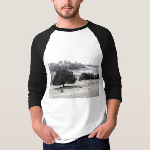 Sheep in a frosty field T-Shirt