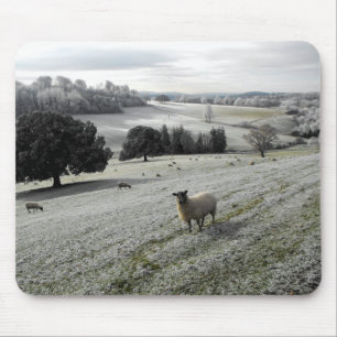Sheep in a frosty valley mouse mat