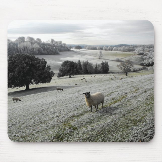 Sheep in a frosty valley mouse mat (Front)