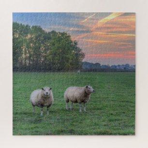 Sheep in Field with Sunset Jigsaw Puzzle